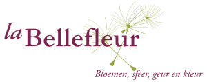 logo_labellefleur_groot_1.jpg